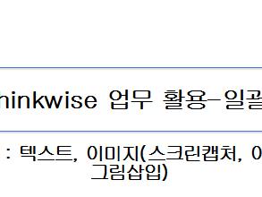 AI 기반 Thinkwise 업무 활용(일괄붙여넣기)- 제9회 유저 컨퍼런스