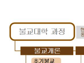 교양대학 커리큘럼 한눈에 보기